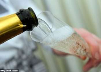 Champagne from Aldi and Co-Op ranked top in Christmas taste tests leaving high-end competitors feeling flat
