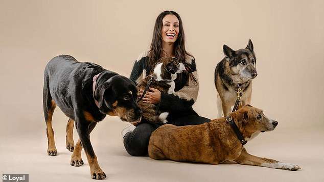 Drugs that extend dogs’ lifespans by at least a YEAR show signs of ‘effectiveness’, says FDA – and they could be available by 2026