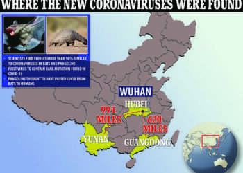 EXCLUSIVE: Chinese scientists find a NEW bat coronavirus linked to pangolins that has same freak mutation as Covid – and some experts say it shoots down the lab leak theory