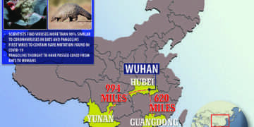 EXCLUSIVE: Chinese scientists find a NEW bat coronavirus linked to pangolins that has same freak mutation as Covid – and some experts say it shoots down the lab leak theory