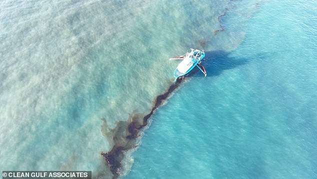 Major oil spill off Louisiana coast sees 1.1m gallons of toxic petroleum spewed into Gulf of Mexico – and experts fear it could wipe out endangered whales and turtles