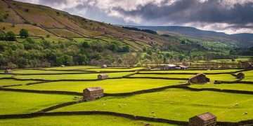 The world’s safest and most dangerous countries in 2023: The UK is the 37th most peaceful nation, with America ranked 131st – again (far behind Canada, which comes 11th)