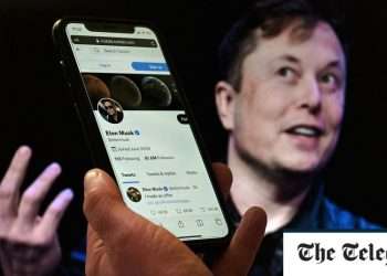 Elon Musk pulls out of $44bn Twitter takeover