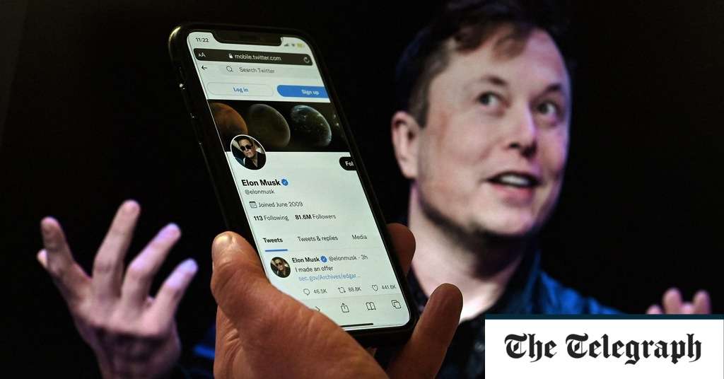 Elon Musk pulls out of $44bn Twitter takeover