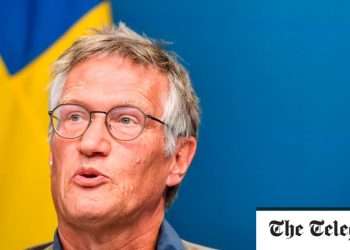 Sweden’s Covid strategy appears to have been vindicated