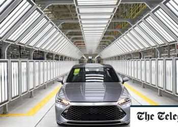 Tesla loses electric car crown to Chinese rival backed by Warren Buffett