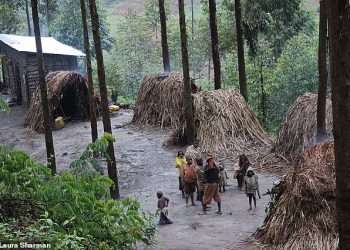 The Mail’s impromptu meeting with the world’s shortest tribe, who live on the edge of Uganda’s Bwindi Impenetrable Forest and count mountain gorillas as their neighbours