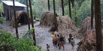 The Mail’s impromptu meeting with the world’s shortest tribe, who live on the edge of Uganda’s Bwindi Impenetrable Forest and count mountain gorillas as their neighbours