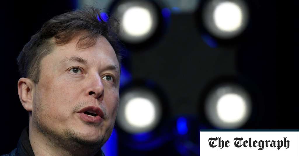 Twitter granted fast-track trial in bid to force Elon Musk to complete $44bn takeover
