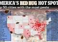 America’s bed bug hotspots REVEALED: Map shows top 50 worst cities for infestation… is YOUR hometown crawling with them?