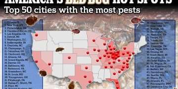 America’s bed bug hotspots REVEALED: Map shows top 50 worst cities for infestation… is YOUR hometown crawling with them?