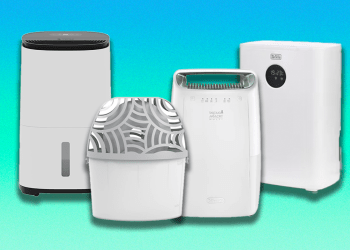 Best dehumidifiers 2024 to fight mould, dust and damp this winter