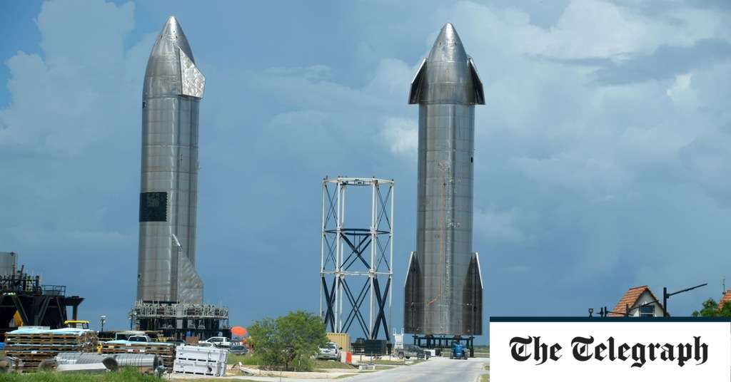 Elon Musk’s SpaceX rockets linked to death of endangered birds