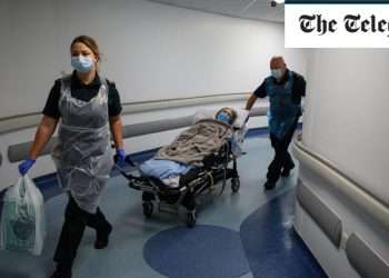 It’s not good enough to claim ignorance over Covid deaths in care homes