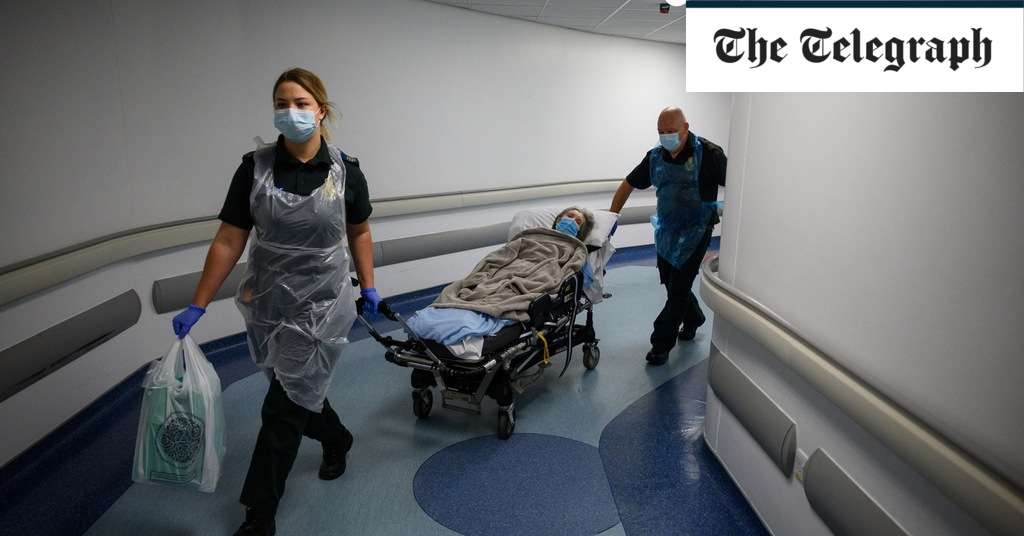 It’s not good enough to claim ignorance over Covid deaths in care homes