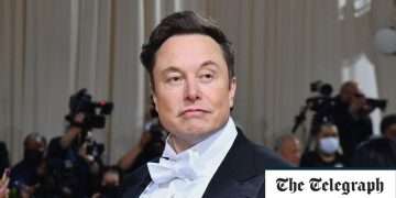 MPs demand Elon Musk comes to London to discuss Twitter takeover