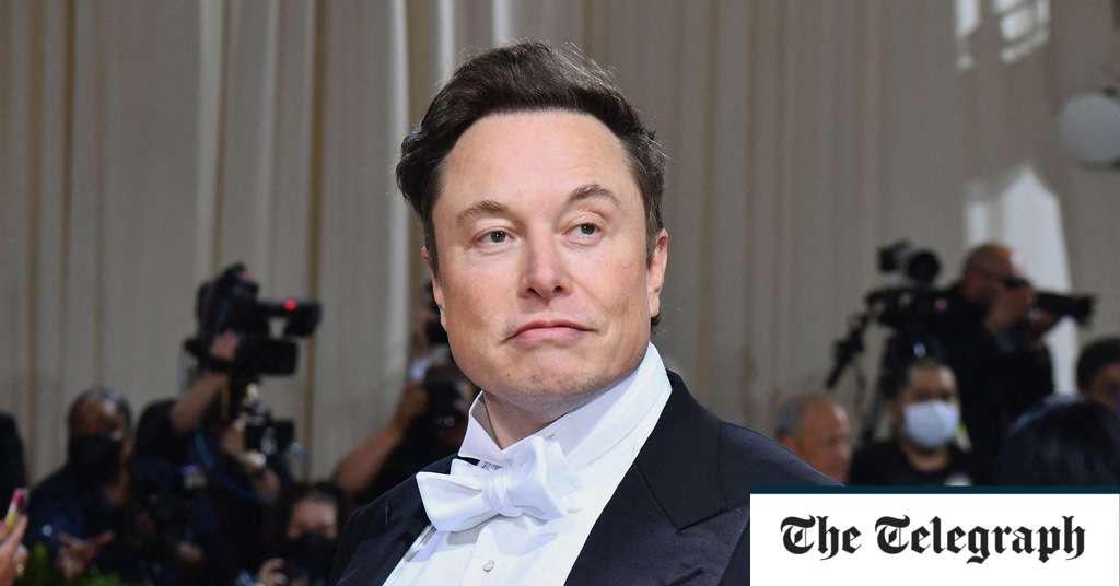 MPs demand Elon Musk comes to London to discuss Twitter takeover
