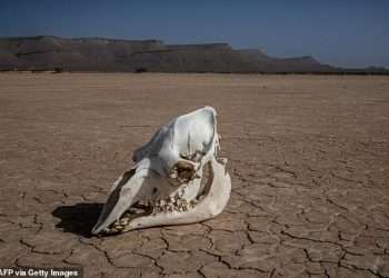 Now climate scientist says global warming may shave 6 months off your life – and even more if you are a woman