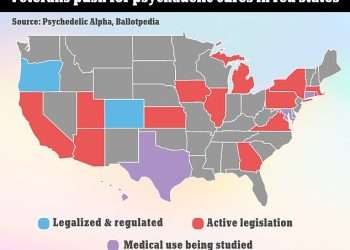 Psychedelic drug ibogaine used by Wolf of Wall Street Jordan Belfort could treat traumatic brain injuries in special ops military veterans