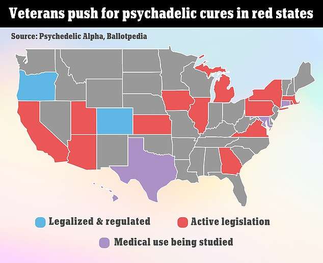 Psychedelic drug ibogaine used by Wolf of Wall Street Jordan Belfort could treat traumatic brain injuries in special ops military veterans