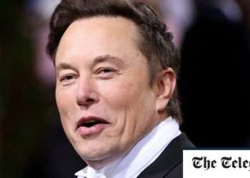 SpaceX fires staff over letter criticising Elon Musk