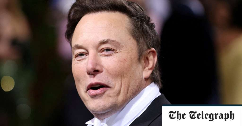 SpaceX fires staff over letter criticising Elon Musk