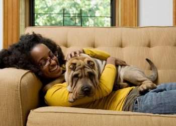10 top experiences for pampered pets