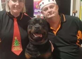 Lucky Aussies won $63MILLION at their newsagency – but now Powerball ticker sellers are closing their doors for a heartbreaking reason