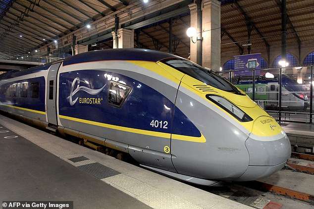 Migrant is electrocuted in human fireball after climbing on top of a UK-bound Eurostar train and getting struck by powerful charge from overhead cable