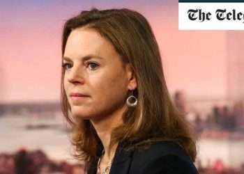 No guarantee of rate cuts when inflation hits 2pc, warns Bank official