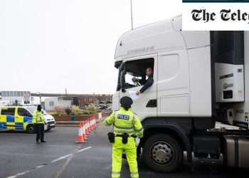 Port of Dover threatens legal action over Brexit lorry checks