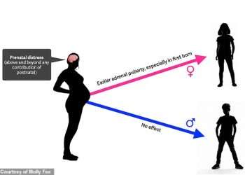 Stress during pregnancy could cause ‘premature puberty’ in daughters, study suggests