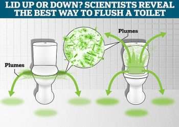 Will flushing with the lid down stop your bathroom being peppered with the dreaded ‘toilet plume’? Scientists test age-old theory and make a very surprising discovery