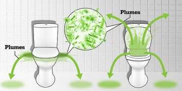 Will flushing with the lid down stop your bathroom being peppered with the dreaded ‘toilet plume’? Scientists test age-old theory and make a very surprising discovery