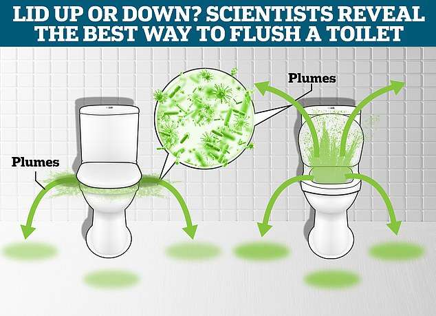 Will flushing with the lid down stop your bathroom being peppered with the dreaded ‘toilet plume’? Scientists test age-old theory and make a very surprising discovery