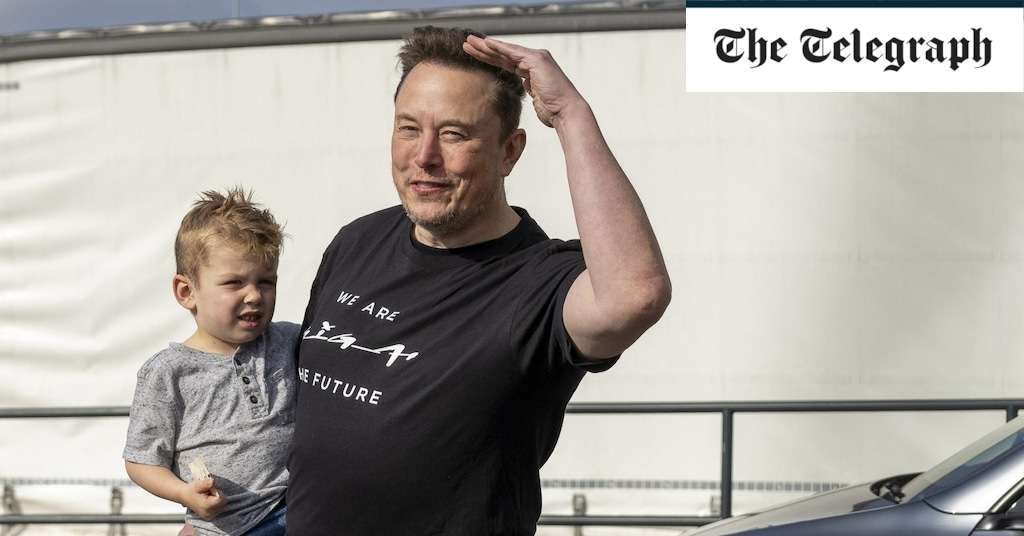 Elon Musk’s Tesla is ‘growth company with no growth’