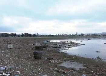 Residents on this California shoreline feel like they are ‘trapped in a portable toilet’ as beach remains closed for more than 700 days straight due to raw sewage floating in from Mexico