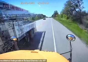 Truck driver was on just three hours sleep and used cocaine the morning he crashed into a school bus full of preschoolers in Texas, killing two people – including five-year-old boy