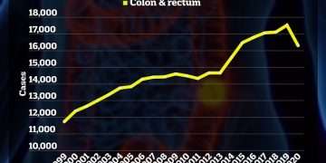 What’s causing colon cancer epidemic in young people? Scientists launch $25m global probe to find the answer