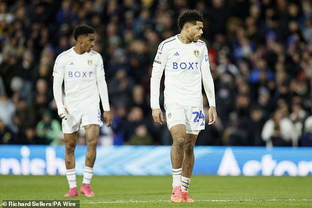 Leeds 0-0 Sunderland: Daniel Farke’s Whites miss out on chance to claim top spot in the Championship as they drop two points in goalless stalemate with Black Cats