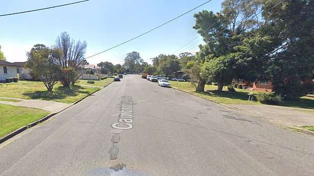 Raymond Terrace: Axe-wielding homeowner is allegedly killed by neighbour with a scooter over noise complaint