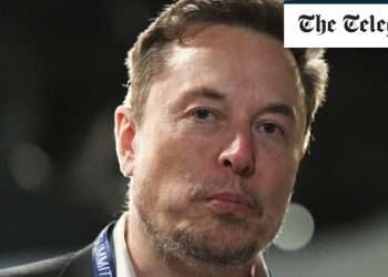 Tesla sales slump wipes $35bn off Elon Musk’s electric car giant