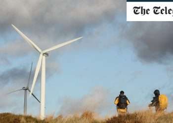 Wind farms will never be able to serve our energy needs