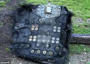 Experts say they’ve identified ‘hairy UFO’ that crash landed in North Carolina