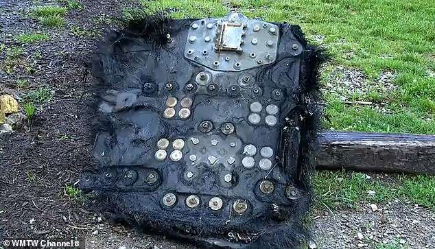 Experts say they’ve identified ‘hairy UFO’ that crash landed in North Carolina