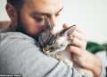 Four more pet cats die from bird flu – raising fears a spillover could be closer