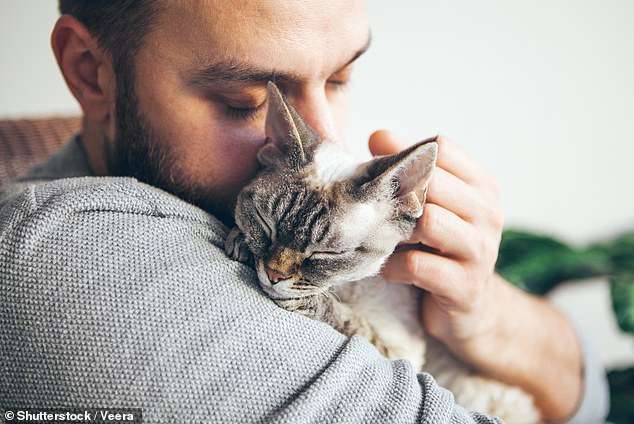 Four more pet cats die from bird flu – raising fears a spillover could be closer