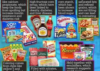 Ultra-processed foods do NOT cause obesity, says US government’s top diet advisors in bombshell review of current evidence: ‘Studies have been biased’