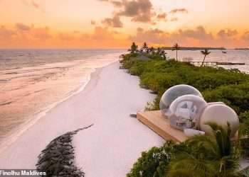 Paradise glamping: The incredible Maldives ‘beach bubble tent’ that offers couples the chance to sleep under the stars (without being bitten by mosquitoes)