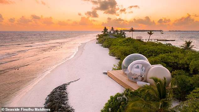 Paradise glamping: The incredible Maldives ‘beach bubble tent’ that offers couples the chance to sleep under the stars (without being bitten by mosquitoes)